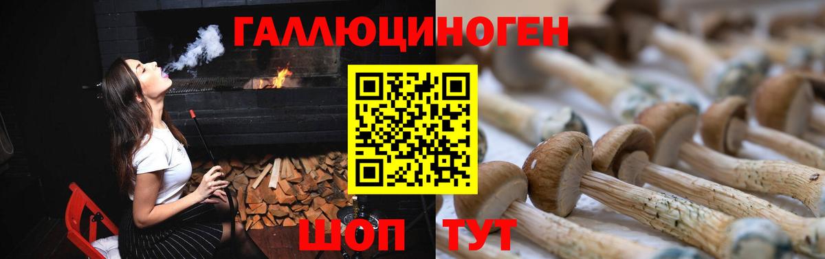 Майкоп  Галлюциногенные грибы мицелий  хочу наркоту  Вход с VPN 
